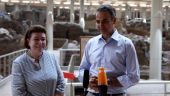 To μήνυμα Μητσοτάκη από τη Σαντορίνη: Τουρισμός χωρίς έκπτωση στην ασφάλεια