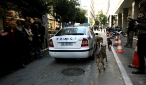 Σαλαμίνα: Ερωτικό πάθος βλέπει η αστυνομία πίσω από τον θάνατο ζευγαριού