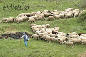 Να επεκταθεί και στο ν. Κιλκίς η προκαταρκτική έρευνα για το "ελληνοποιημένο" γάλα
