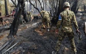 Αλγερία: 42 οι νεκροί – Κάηκαν στις πυρκαγιές που κατακαίνε τον βορρά