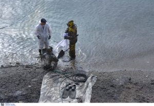 Στον Πειραιά το IOPC για αποζημιώσεις από το «Αγία Ζώνη ΙΙ»