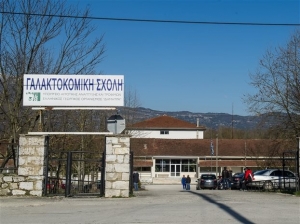 Β. Αποστόλου: Να παραιτηθεί ο διευθυντής της Γαλακτοκομικής Ιωαννίνων