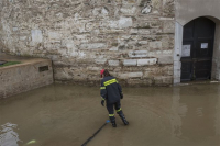 Ζημιά άνω των 200.000 ευρώ για τους εκθέτες της Ανθοέκθεσης στη ΔΕΘ