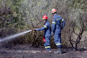 Φωτιά στην περιοχή Ριγανόκαμπος στην Πάτρα