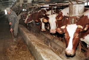 Αποζημιώσεις ΕΛΓΑ σε 65.653 αγρότες και κτηνοτρόφους