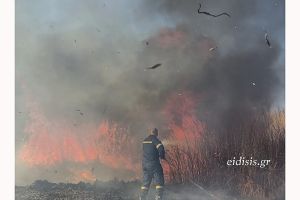 Πολλαπλές μάχες των πυροσβεστών του ν. Κιλκίς σε χωράφια και βροχή τα πρόστιμα σε αγρότες