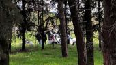 Θεσσαλονίκη: Νέα στοιχεία για τον μητροκτόνο – Την σκότωσε στην Πιερία και τη μετέφερε στη Χαλκηδόνα