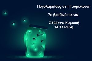 Γουμένισσα: "Μια πυγολαμπίδα που φωσφορίζει είναι η ψυχή που πεταρίζει…"