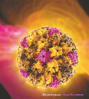 600 νέα περιστατικά καρκίνου της μήτρας στην Ελλάδα ετησίως