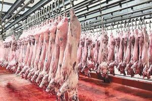 Και επισήμως η σφαγή των αμνών, ανεπισήμως και των καταναλωτών