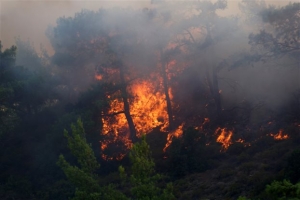 Υπό μερικό έλεγχο τα πύρινα μέτωπα σε Εύβοια και Θήβα