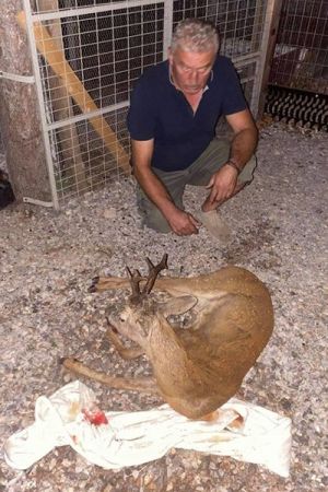 Διάσωση τραυματισμένου ζαρκαδιού από τον Κυνηγετικό Σύλλογο Κιλκίς