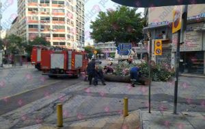 Θεσσαλονίκη: Έπεσε κορμός δέντρου στην οδό Δωδεκανήσου (pics)