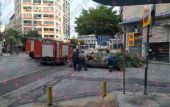 Θεσσαλονίκη: Έπεσε κορμός δέντρου στην οδό Δωδεκανήσου (pics)