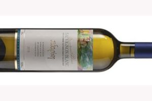ΑΪΔΑΡΙΝΗΣ – Γουμένισσα: Sauvignon Blanc 2024, στα κορυφαία του ελληνικού αμπελώνα