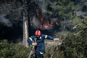 Θεσσαλονίκη: Υπο έλεγχο η φωτιά που ξέσπασε στην περιοχή του Φοίνικα (video)