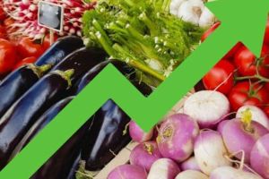 Βάστα Ρόμελ