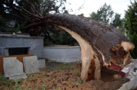 Ανεμοστρόβιλος σάρωσε το νεκροταφείο της Τρίπολης