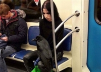 Όταν είσαι goth, μπαίνεις στο μετρό με το κατοικίδιο...κοράκι σου