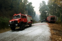 Υψηλός κίνδυνος πυρκαγιάς την Τρίτη