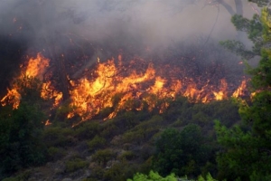 Πολύ υψηλός κίνδυνος πυρκαγιάς το Σάββατο