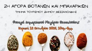 Κρίταμο, χαρούπι και τσάι του βουνού: φυσικές λύσεις για υγεία και ευεξία