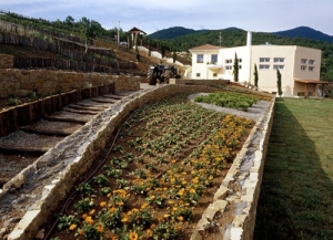 Σπουδαία Κιλκισιώτικη Γιορτή το 13ο Κιλκισιώτικο Αντάμωμα