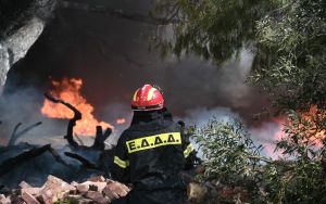 Θεσσαλονίκη: Φωτιά στην Επανομή