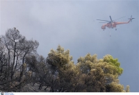 Πυρκαγιά στην περιοχή Πόρτο Λάφια στην Κάρυστο - Νέα εστία στο Αλιβέρι