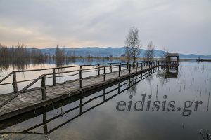 Δημοσιοποίηση της Απόφασης για τα Αποτελέσματα των αιτήσεων για την παρέμβαση «Εγκατάσταση Γεωργών Νεαρής Ηλικίας»