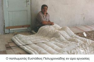 Παπλωματάδες