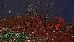 Θεσσαλονίκη: Έσβησε η φωτιά στη περιοχή Λιβάδι