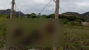 Ισημερινός: Ανακαλύφθηκαν πέντε ανθρώπινα κεφάλια σε τουριστική παραλία