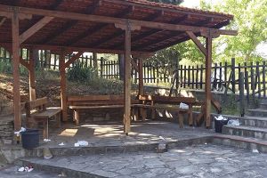 Περιβαλλοντικές... ευαισθησίες