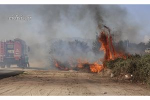 Φωτιά και στην παραποτάμια περιοχή του Αξιού νότια του Πολυκάστρου
