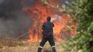 Εξέλιξη πυρκαγιάς στο Κιλκίς: Χωρίς ενεργό μέτωπο