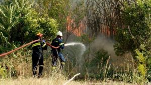 Σε εξέλιξη πυρκαγιά σε δασική έκταση στην Νυμφαία Κομοτηνής