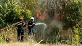 Σε εξέλιξη πυρκαγιά σε δασική έκταση στην Νυμφαία Κομοτηνής