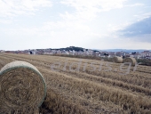 Τιμές ανοιχτές 15-22 λεπτά