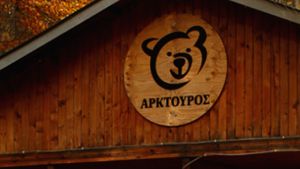 Αντιστάσεις από τον Αρκτούρο για την απομάκρυνση αρκούδων αποφάσεις της Γενικής Διεύθυνσης Δασών