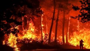 Τραγωδία στην Αλγερία: Τουλάχιστον 38 νεκροί από τις πυρκαγιές που μαίνονται στη χώρα