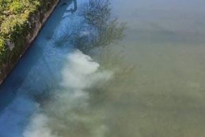Καταγγέλλει ρύπανση ρέματος