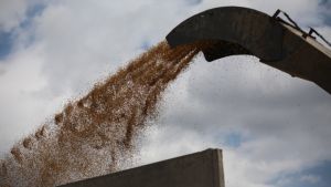 Άλλα δύο πλοία με δημητριακά απέπλευσαν από ουκρανικά λιμάνια, ανακοίνωσε η Τουρκία