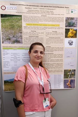 Το Verbascum της Δοϊράνης στο 8ο Βαλκανικό Συνέδριο στην Αθήνα