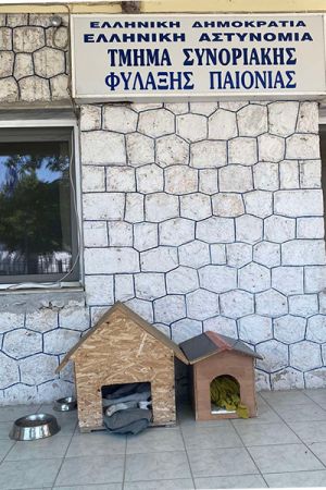 Μια φωτογραφία, χίλιες ευαισθησίες!