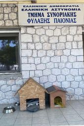 Μια φωτογραφία, χίλιες ευαισθησίες!