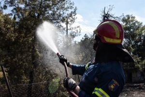 Πυρκαγιά σε αγροτοδασική έκταση στη Λάρισα