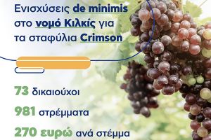Ενισχύσεις de minimis, λόγω μείωσης εισοδήματος το έτος 2021, στους παραγωγούς σταφυλιών Crimson.
