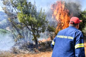Σύσκεψη για την πυροπροστασία του Σέιχ Σου συγκαλεί ο ΥΜΑΘ Κων. Γκιουλέκας