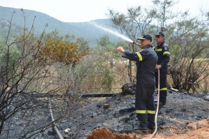 Πυρκαγιά στο Μεσολόγγι - Κοντά στον αρχαιολογικό χώρο των Οινιαδών